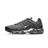 Nike Air Max Plus TN – France